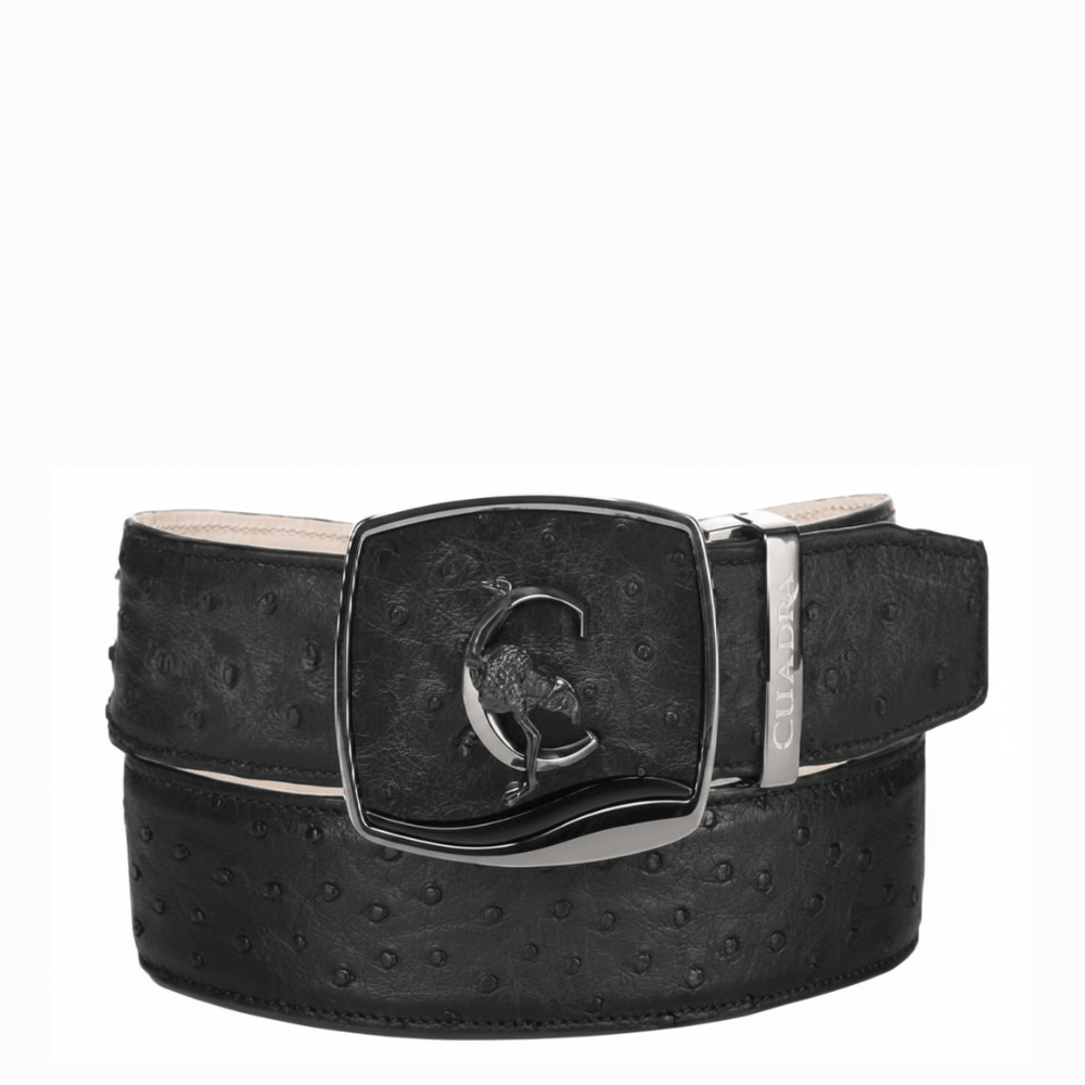 CUADRA | MENS CINTO AVESTRUZ NEGRO BC479/CV519A1