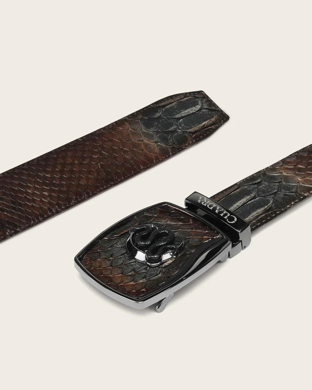 Cuadra Cinto Python Back Iran Cafe BCA498/CV519PH