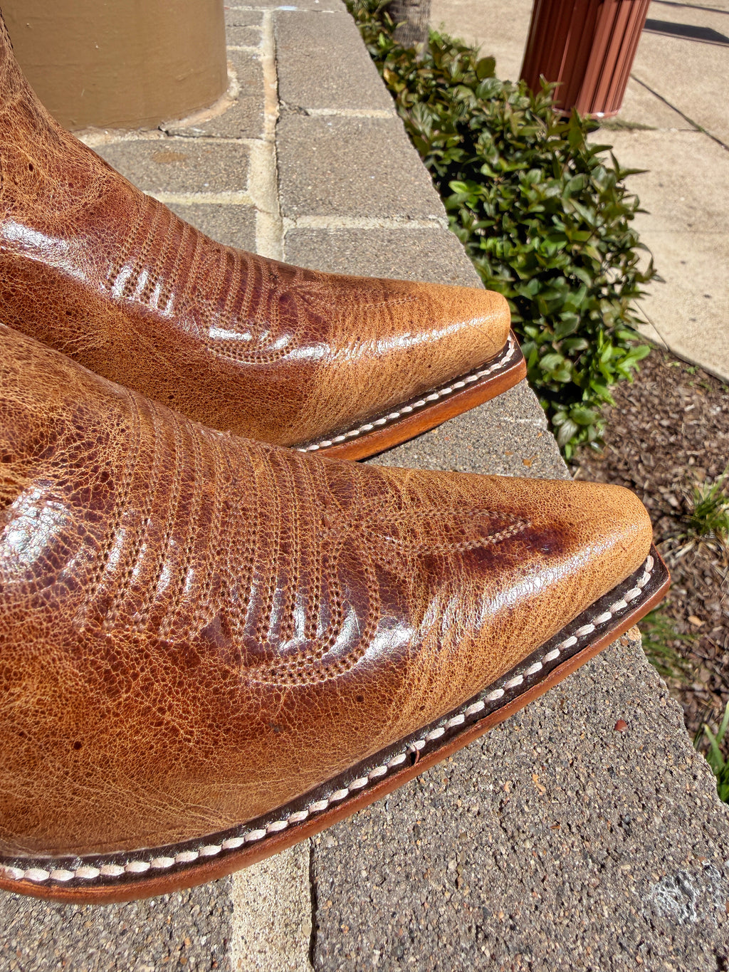 Reywelt Women's Heiser Honey 621 Jaylin L-57280