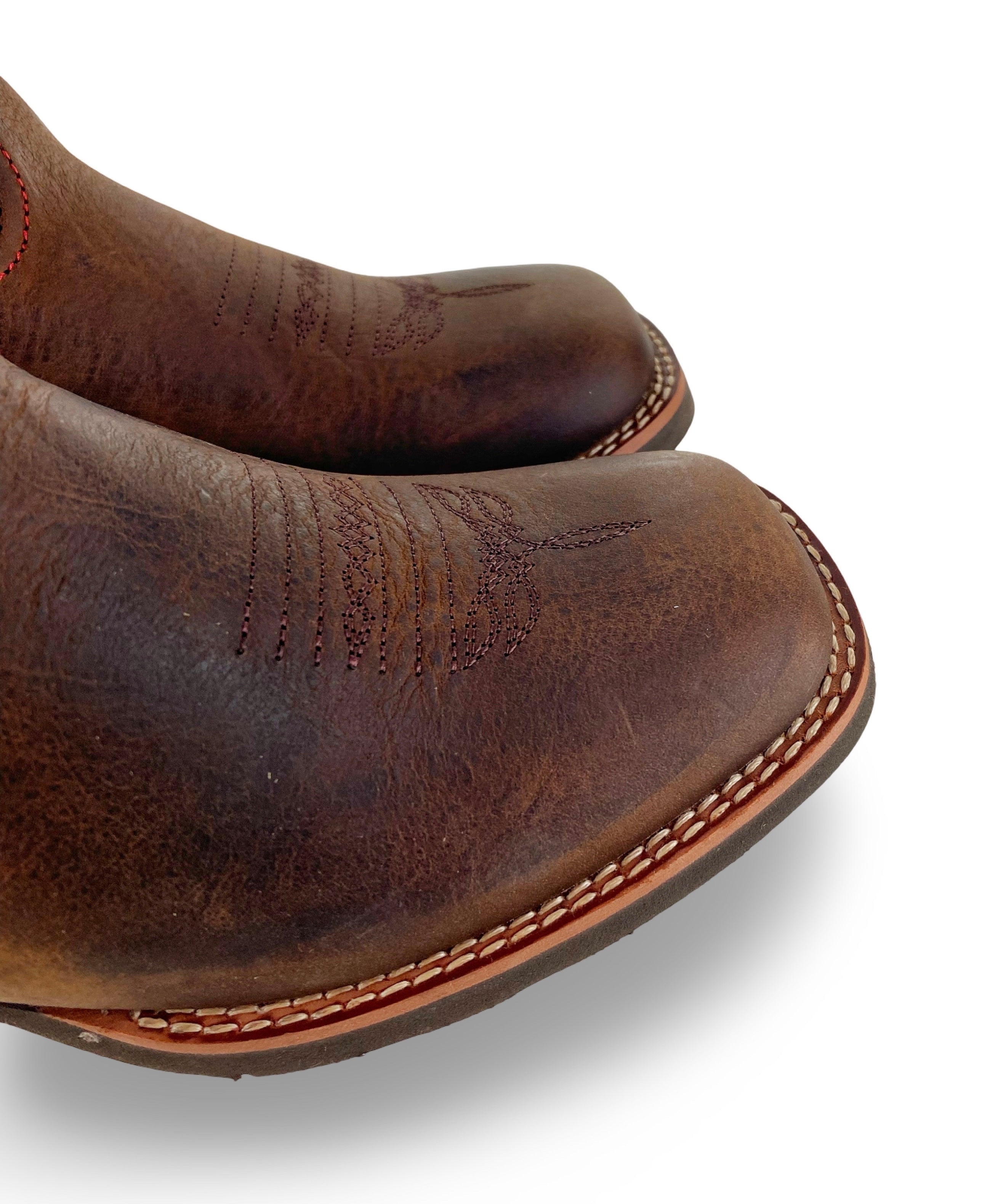 Nokota Horse Kids Columbia 15 Bisonte Tinker Than Rubi Rojo