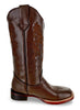 Don Pedro Women's 7723 D30 Pull Choco BD 15766