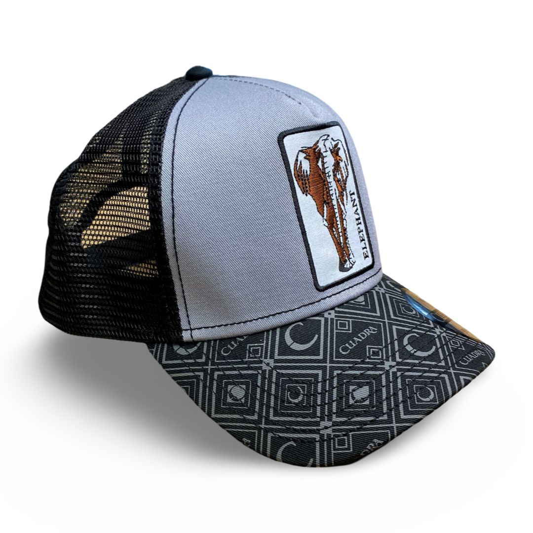 CUADRA | ELEPHANT GRAY/BLACK SNAPBACK OSFM