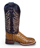 Los Compadres | Women's 212-6 Avestruz Sombreada Cafe Woven Bulldog Boot