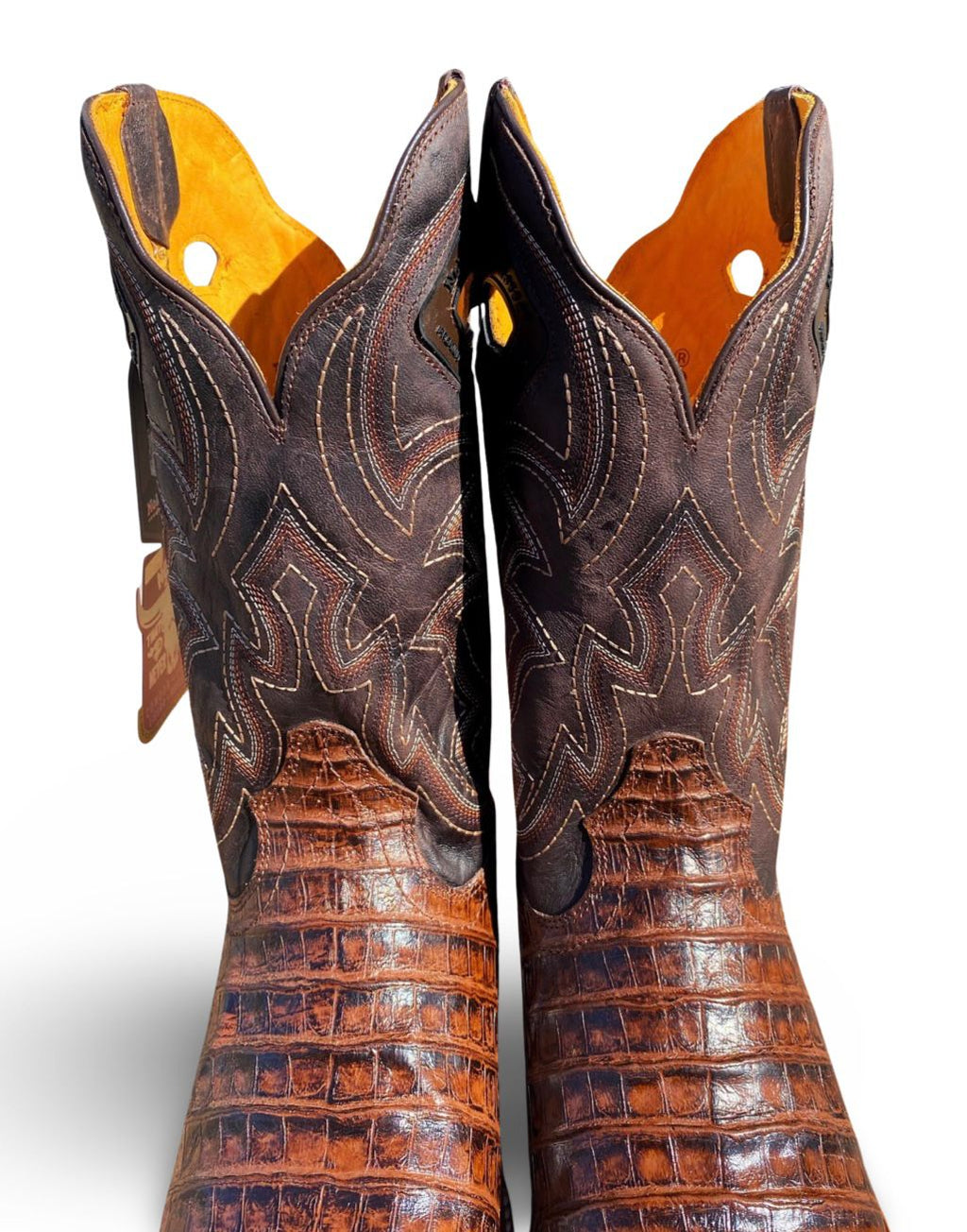 Nokota Horse Mens Morgan 18 GB Lomo Coco Cafe M051841