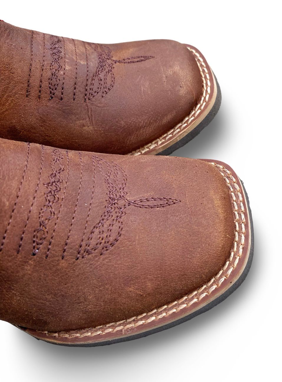 Nokota Horse Kids Woody 15 Crazy H Miel Lona Toby W011511