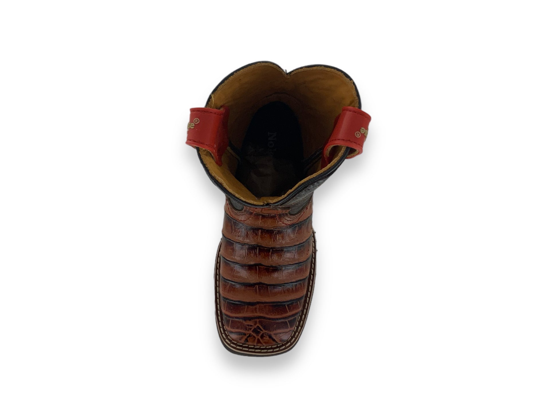 Nokota Horse Little Kids Woody 15 GB Lomo Coco Shedron W011511