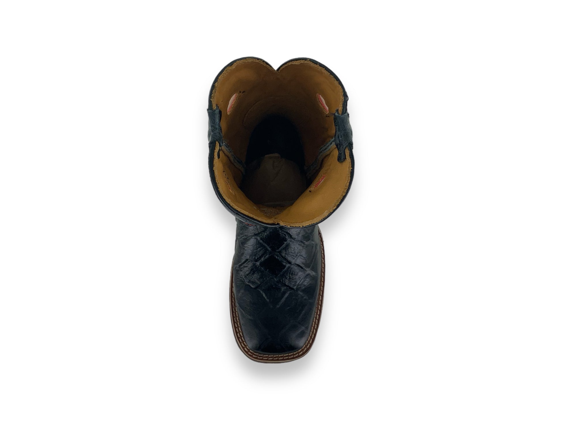 Nokota Horse Kids Stanley 15 GB Pescado Negro S051522