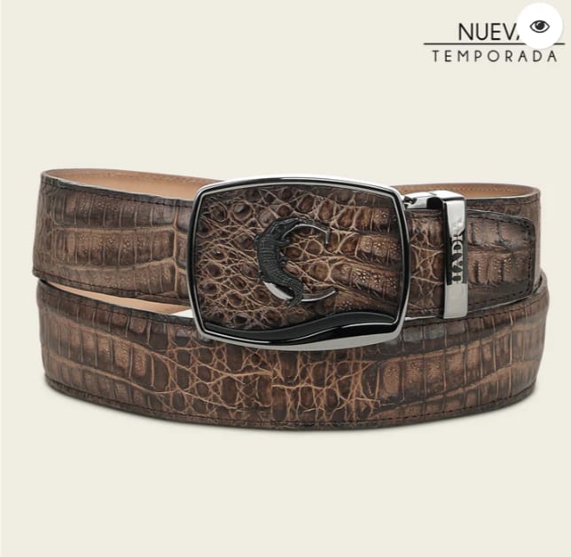 Cuadra Belt Fucus Strauss Cafe BC480/CV519FY